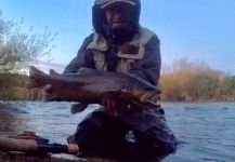  Imagen de Pesca con Mosca de Trucha marrón por Rodo Radic | Fly dreamers