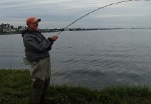 Bluefish - Tailor - Shad Fly-fishing Situation – Jack Denny shared this Interesting Image in Fly dreamers 