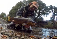  Captura de Pesca con Mosca de Salmo trutta por Rodo Radic | Fly dreamers