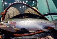 Fly fishing in the Kamberg Valley