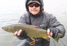 Fly-fishing Image of Brownie shared by Valdimar Valsson | Fly dreamers