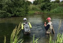  Salmo trutta – Genial Situación de Pesca con Mosca – Por Will Robins