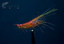 Morten Jensen 's Fly-tying for Sea-Trout - Image | Fly dreamers 