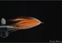 Mikael Högberg 's Fly-tying for atlantics - Image | Fly dreamers 