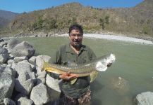 Arun Rana 's Fly-fishing Pic of a Mahseer | Fly dreamers 