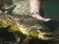 Foto de pesca con mosca