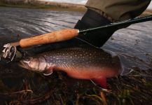  Fotografía de Pesca con Mosca de trucha fontinalis por Juan Manuel Biott | Fly dreamers