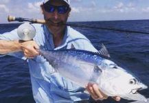 David Bullard 's Fly-fishing Catch of a False Albacore - Little Tunny | Fly dreamers 