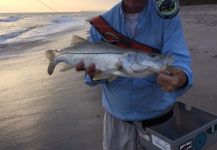 David Bullard 's Fly-fishing Pic of a Snook - Robalo | Fly dreamers 