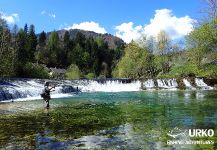 brown trout Fly-fishing Situation – Uros Kristan shared this Image in Fly dreamers 