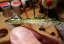 David Bullard 's Fly-tying for False Albacore - Little Tunny - Photo | Fly dreamers 