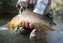 Big Wood River, Ketchum, Idaho, United States