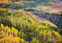 Silver Creek, Ketchum, Idaho, United States