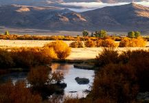 Silver Creek, Ketchum, Idaho, United States