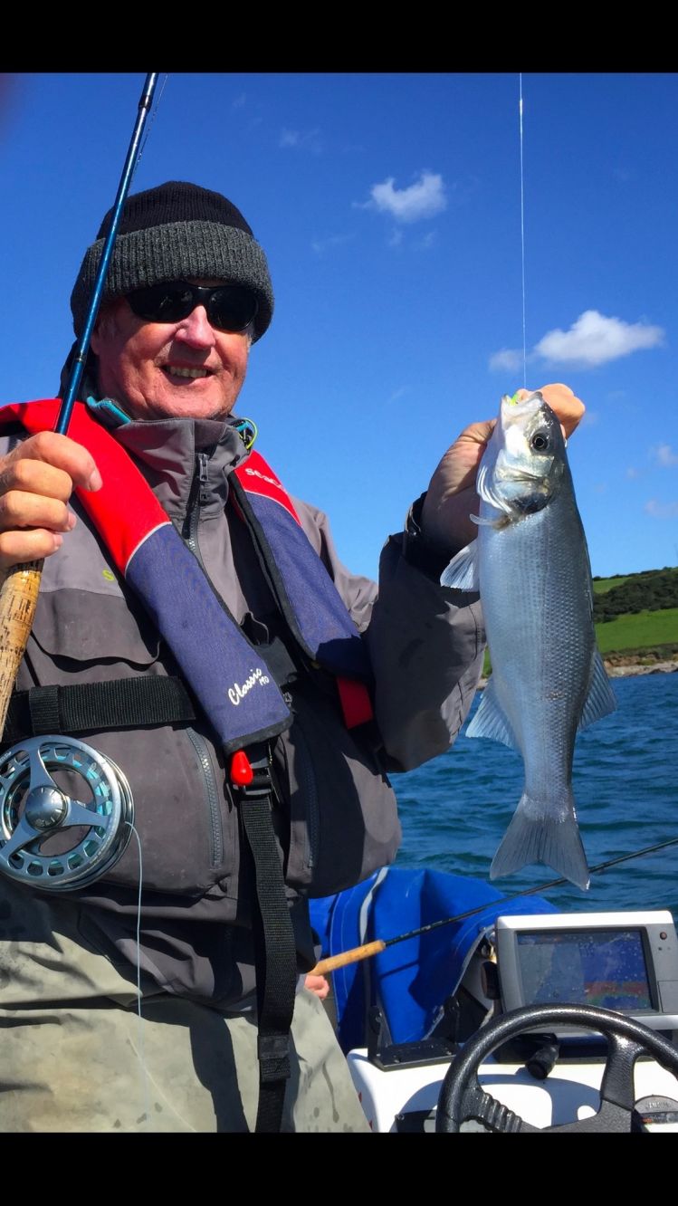   My smallest bass on the fly this year. Fulling Mill Softy Sandeel did the trick again. We lost two very large Pollack to a huge seal , my first ever on a fly , seal that is ! They give a good acct..