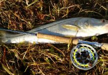 David Bullard 's Fly-fishing Photo of a Snook - Robalo | Fly dreamers 