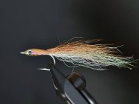 Fly fishing picture