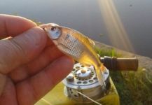  Foto de Pesca con Mosca de Mojarra compartida por Roberto Garcia | Fly dreamers