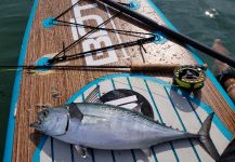  Fotografía de Pesca con Mosca de Falsa Albácora por Chanan Chansrisuriyawong | Fly dreamers 