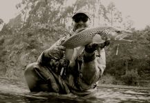 Quentin Forster 's Fly-fishing Pic of a Salmo trutta | Fly dreamers 