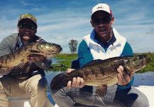  Foto de Pesca con Mosca de Tararira compartida por Lucas De Zan | Fly dreamers