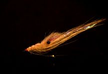 Fly for Salmo fario - Image shared by Morten Jensen | Fly dreamers