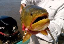 RIO ISORO, goya corrientes, Argentina