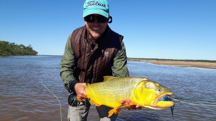 Dorado del finde en la paz