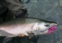 Kenai River, Cooper Landing, Alaska, United States