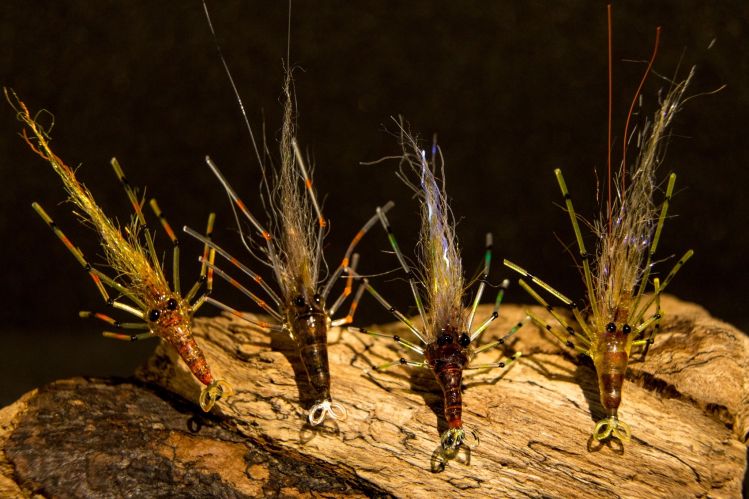 A shrimp cocktail coming up!