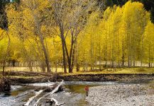 Silver Creek, Ketchum, Idaho, United States