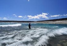 PENSANDO EN LO BASICO