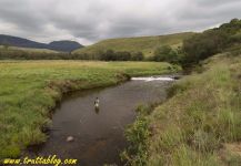 Umgeni River