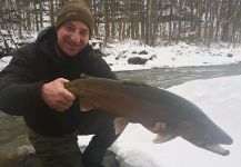 Lake Erie Tributaries, New York, United States