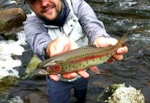  Fotografía de Pesca con Mosca de Trucha arcoiris por Rafael Arruda | Fly dreamers