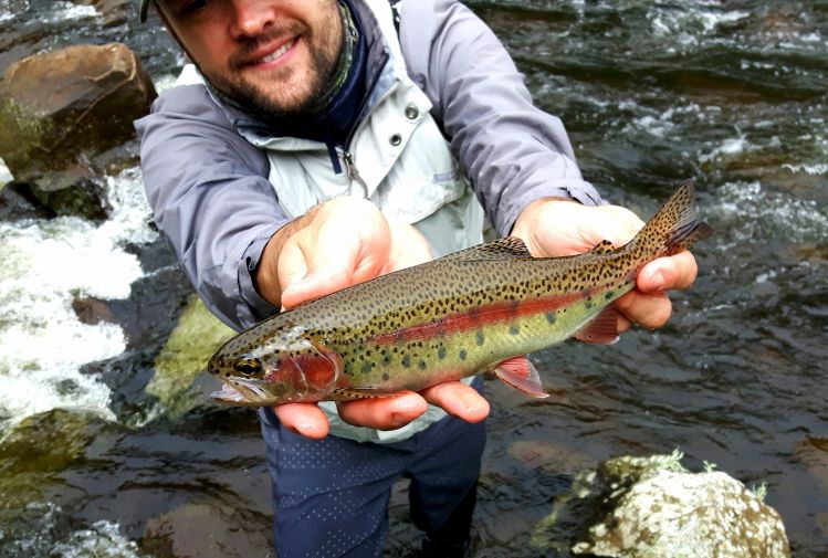 Trout fishing in brazilian highlands