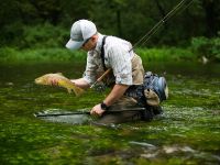 Fly fishing picture