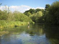 Fly fishing picture