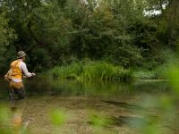 Fly fishing picture