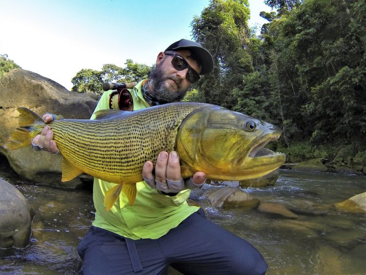 The business end of a dorado.