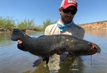  Imagen de Pesca con Mosca de Blue wolf fish por Lucas De Zan | Fly dreamers