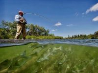 Fly fishing picture