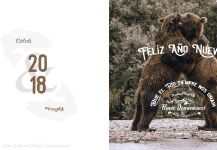 Felíz Año 2018