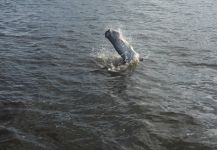 Everglades national park, Miami, Florida, United States