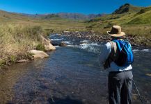 European brown trout Fly-fishing Situation – Andrew Fowler shared this Sweet Image in Fly dreamers 