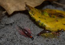 Fly for von Behr trout shared by Morten Jensen | Fly dreamers 