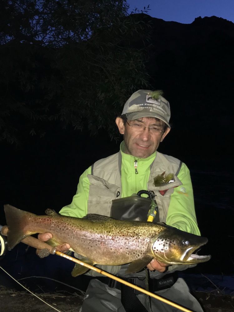 Malleo, ultima hora ... caña #2, 5x, anzuelo 18. Dos pozones nadados, tres correderas tropezadas... esa es una buena marron !