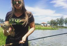 Kid Ocelos 's Fly-fishing Photo of a Nile Tilapia | Fly dreamers 