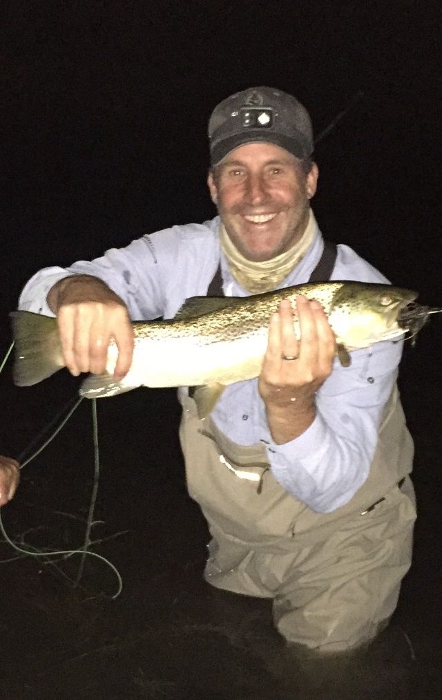 Mousing at Midnight, Silver Creek Idaho