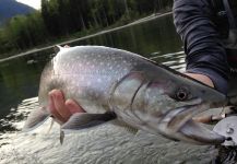 Squamish River, Vancouver, British Columbia, Canada